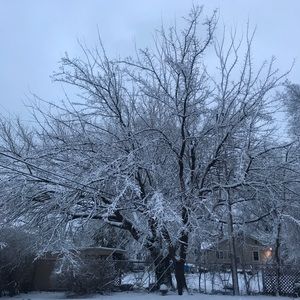 Meet your Posher, Hina